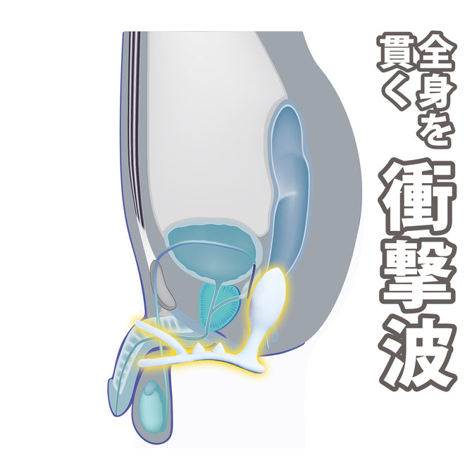 衝擊你的前列腺鎖精後庭塞 - B/M/U