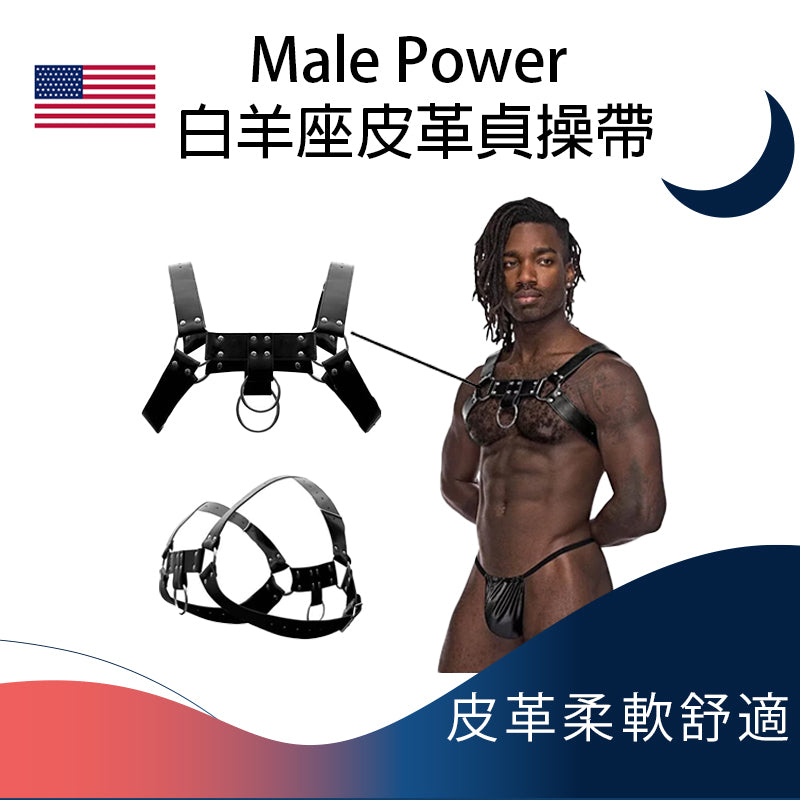 Male Power 白羊座皮革貞操帶