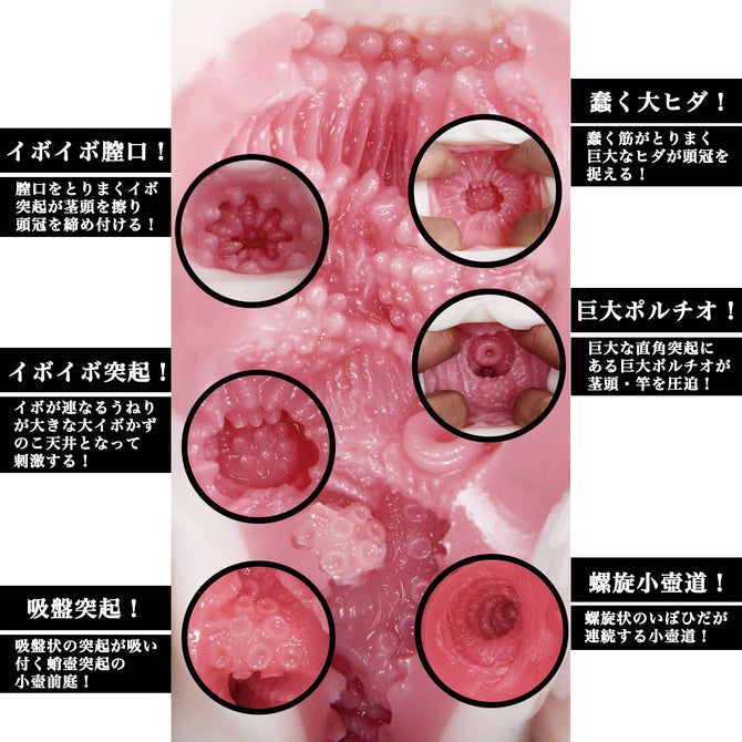 NPG名器証明 － 高橋聖子