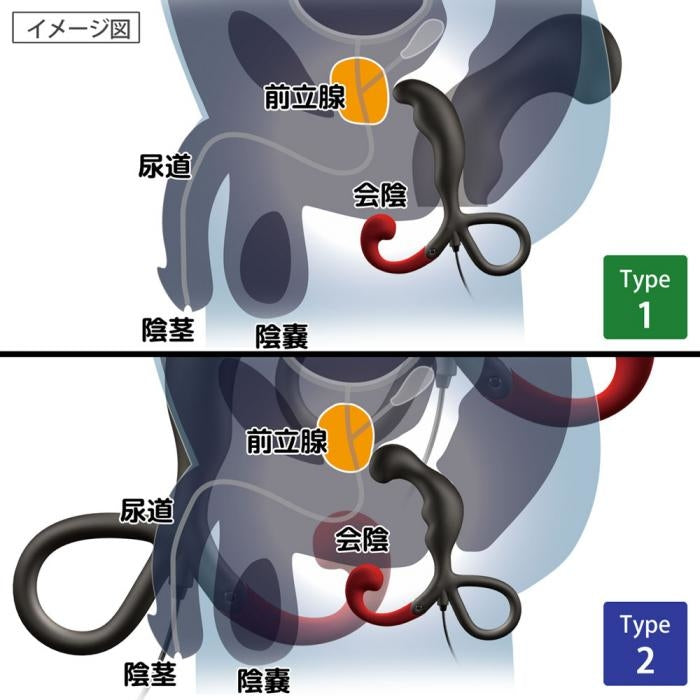 男士後庭前列腺高潮器 - 綠色盒 / 藍色盒