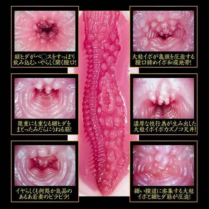 NPG2代目完熟物語柔軟葵司名器